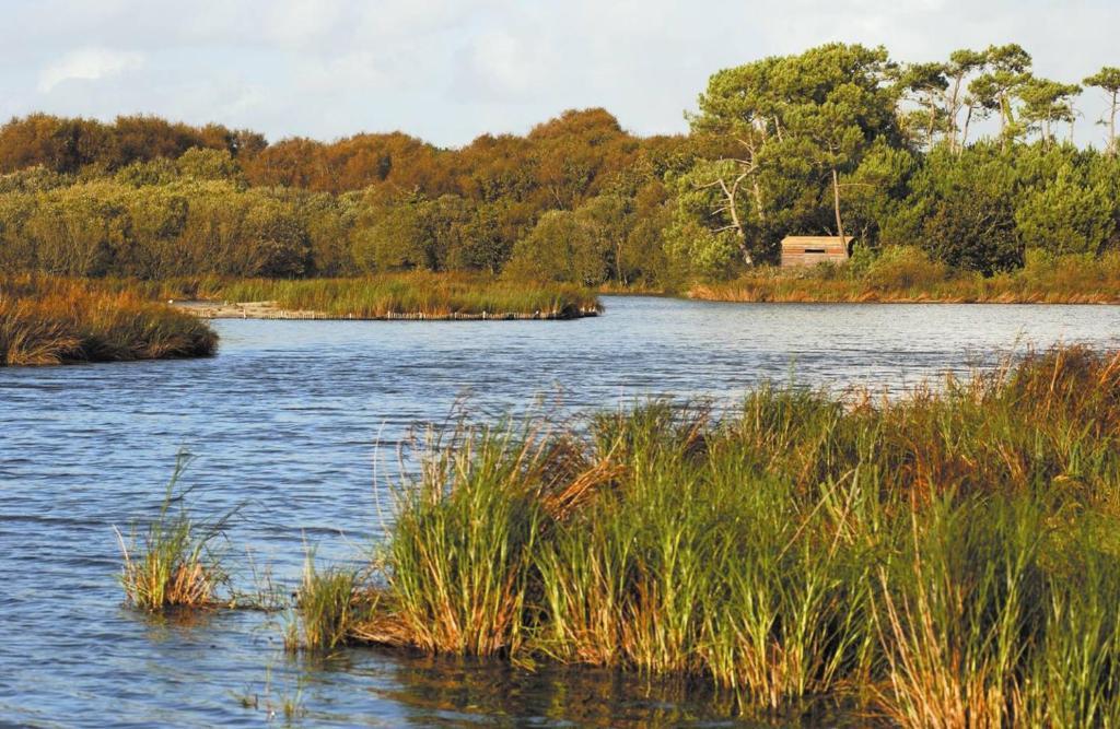 Camping Kost Ar Moor Fouesnant Exteriér fotografie